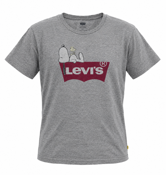 Levi's x Peanuts Graphic T-Shirt