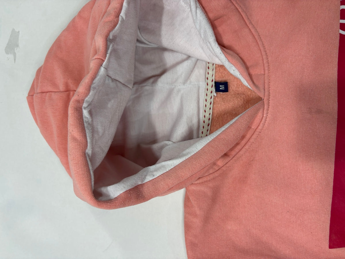 Levi's Men's Coral Logo Pullover Hoodie